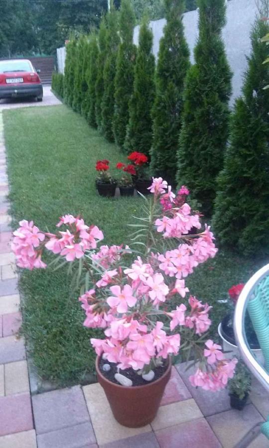 Holiday Home In Keszthely/Balaton 39648 Bagian luar foto